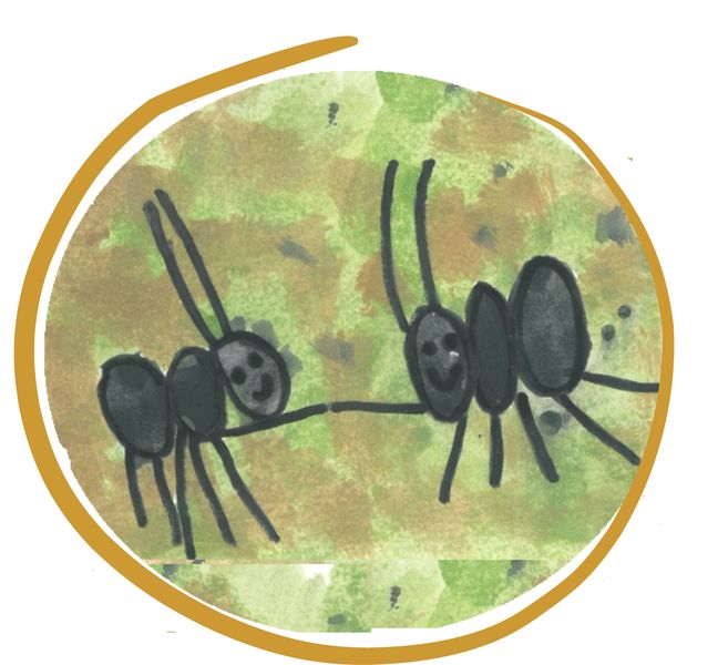 Mravenečci